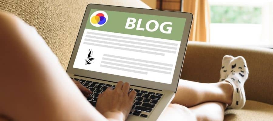 Blog or Content Section