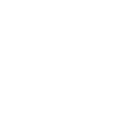 choice logo hover