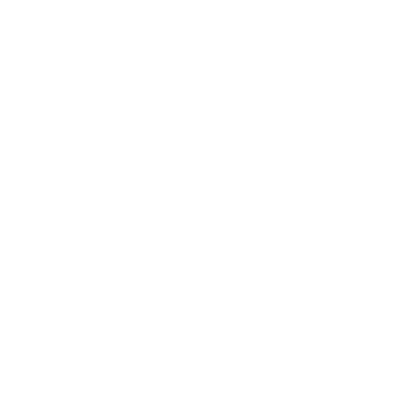 scott brothers logo hover